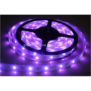 High Brightness Waterproof Violet Christmas Lights Led
